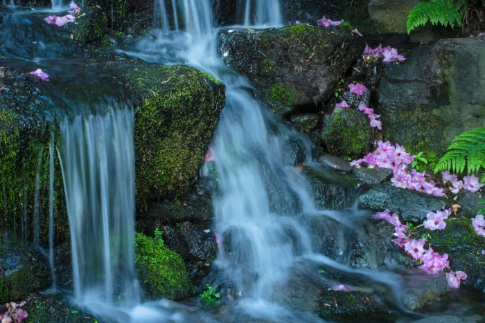 waterfalls with falling pink flowers crystal springs 2k 4k 5k