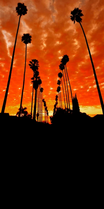 LA Sunset sky orange amoled mobile 2k