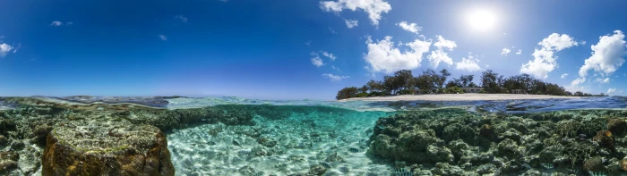 Lady Elliot Island dual monitor widescreen wide screen multiple 2k 4k 5k