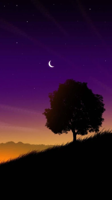 Chill Vibes trees night moon shadow