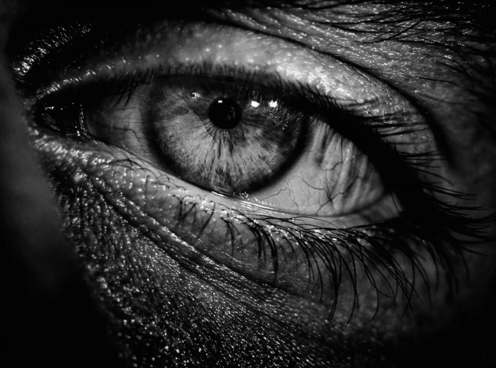 Armenia Hamlet grayscale photo of eye Black and White Dark 2k 4k