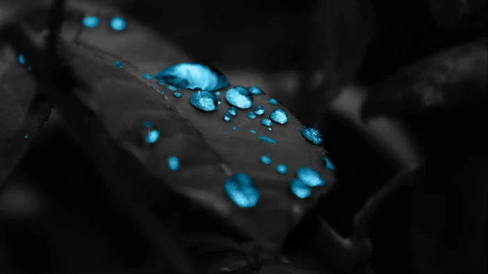 blue water dew wallpaper shallow focus photography of gemstone 44 2k