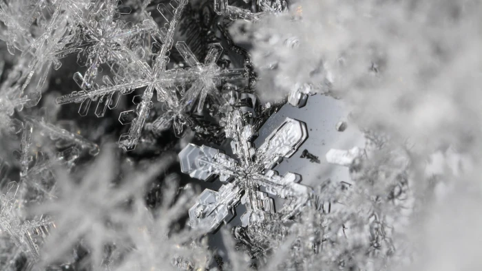 clear snowflake ice macro close up winter cold temperature 2k
