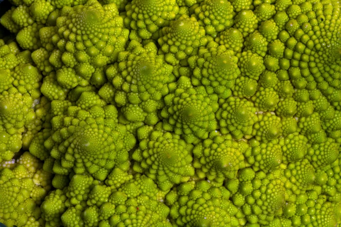 closeup photo of Romanesco broccoli vegetables macro cauliflower 2k 4k 5k