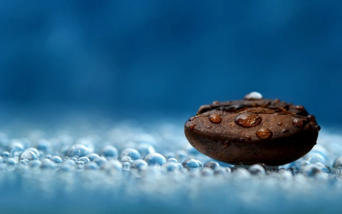 coffee bean macro depth of field beans water drops 2k