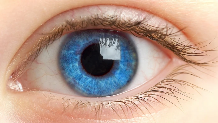 eyes blue retina pupil eyelashes macro 2k