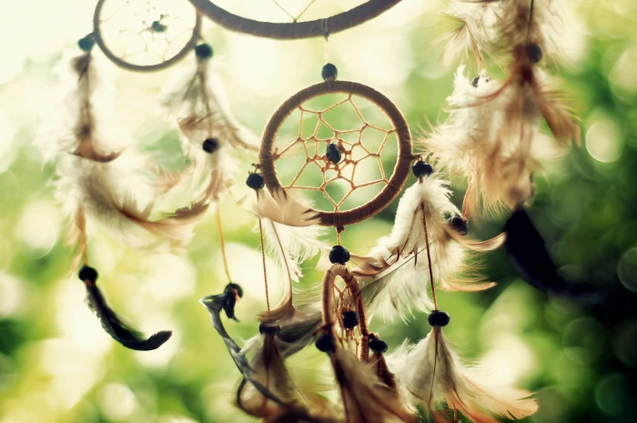 feathers culture dreamcatchers macro 2k