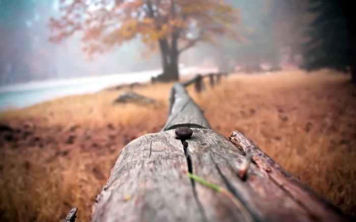 Fence Macro Blur HD nature 2k