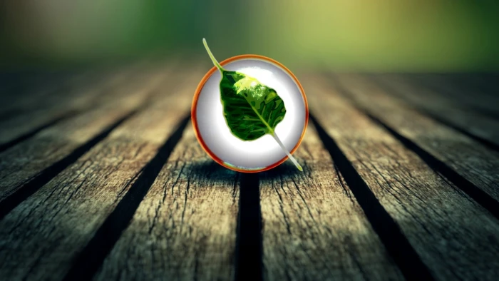 floor linux balls bodhi Technology Linux HD Art 2k