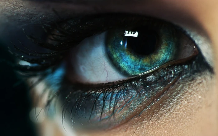 human blue eye closeup photography of person s macro eyes 2k