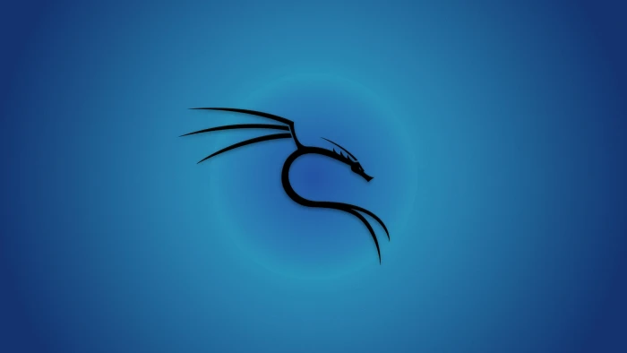 Kali Linux Backtrack blue background 28 2k 4k