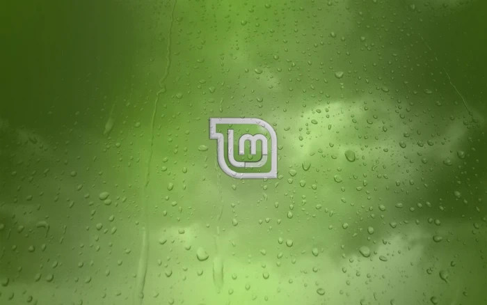 Linux Mint Green Background white and green logo Computers 2k