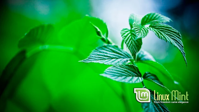 Linux Mint computer 2k