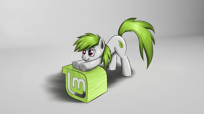 Linux GNU Mint My Little Pony studio shot green color 2k