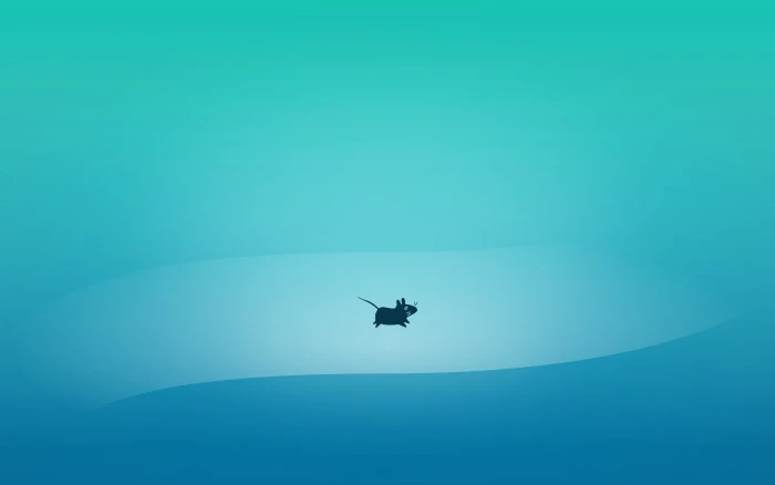 Linux Xubuntu Xfce 2k 4k