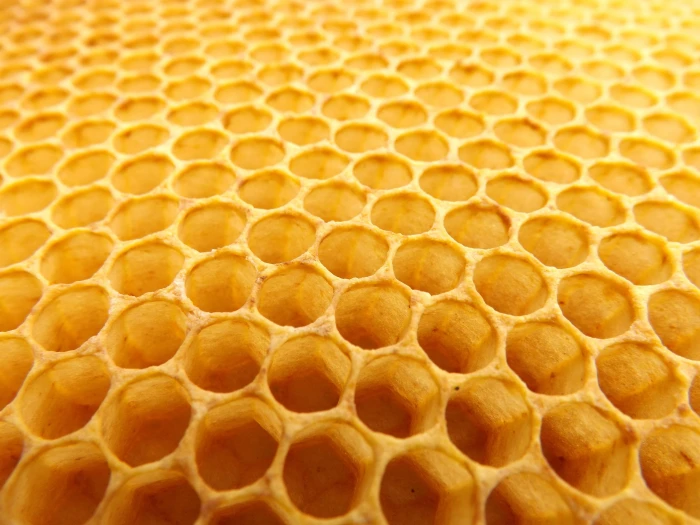 macro photography of Honey comb honeycomb beekeeping beehive 2k 4k