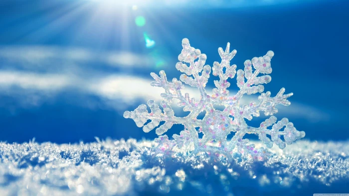 macro photography of snowflakes with rays sun graphic wallpaper 2k 4k