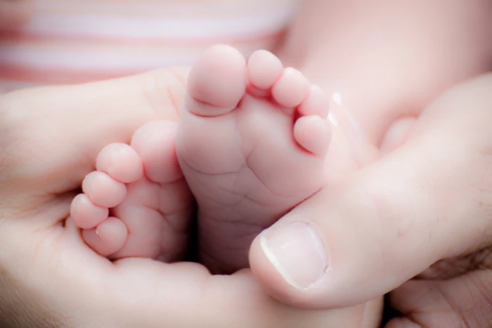 Person Holding Baby s Feet adorable baby feet beautiful birth 2k 4k 5k