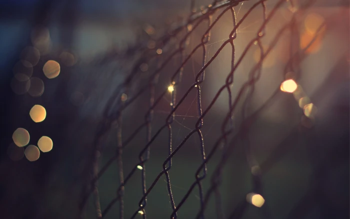 selective focus photography of mesh fence bokeh chain link 2k