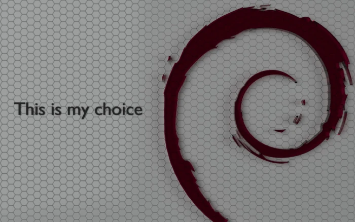 This is my choice text overlay Linux Debian indoors no people 2k