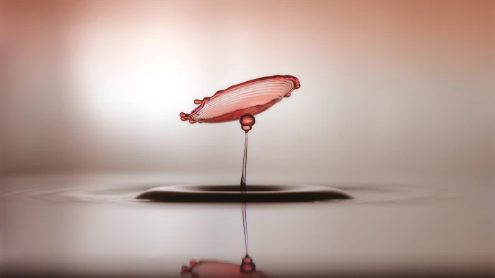 water drops macro 2k 4k