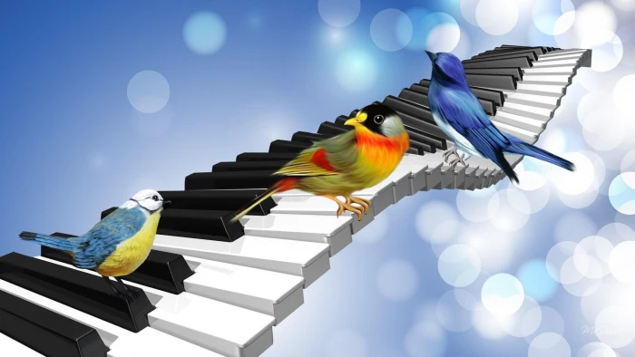 Bird Song musical singing spring piano keys birds abstract 2k