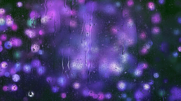 Bokeh Blurred Rain drops Purple lights 2k 4k