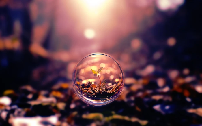bubbles photo manipulation macro bokeh plants blurred 2k