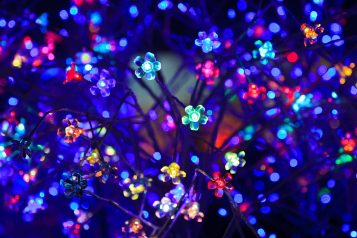 bulbs flowers neon light lighting glare bokeh colorful 2k 4k