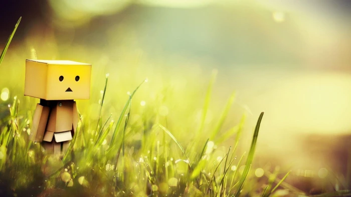 Danbo Box Bokeh brown box man 2k