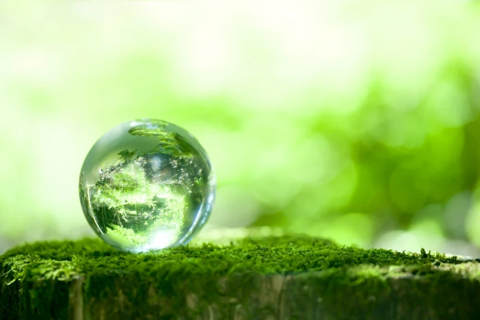 glass globe decor greens reflection moss ball bokeh nature 2k 4k 5k