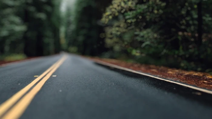 gray asphalt road forest street bokeh transportation marking 2k