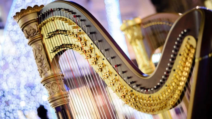 Instrument Harp Symphony music bokeh blurring shot musical