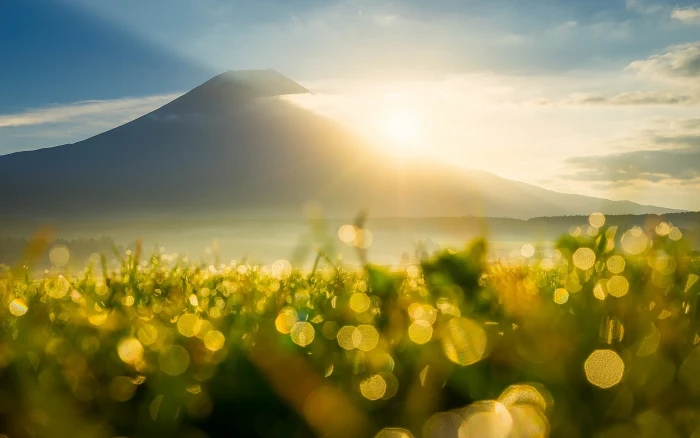 Mountain sun rays sunrise grass dew flare bokeh 2k