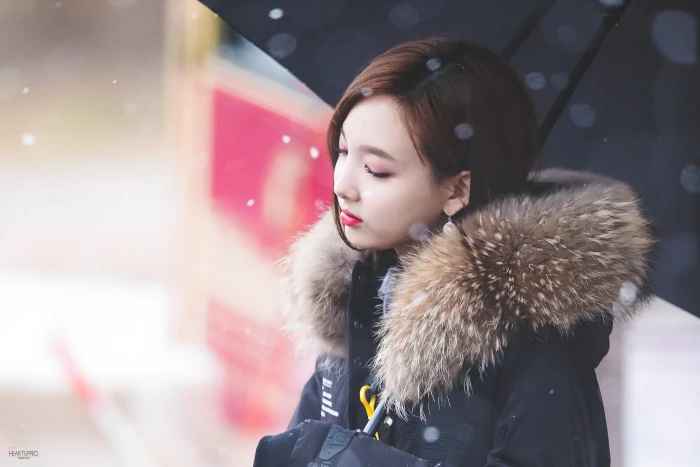 Nayeon Twice K pop bokeh women winter warm clothing fur 2k