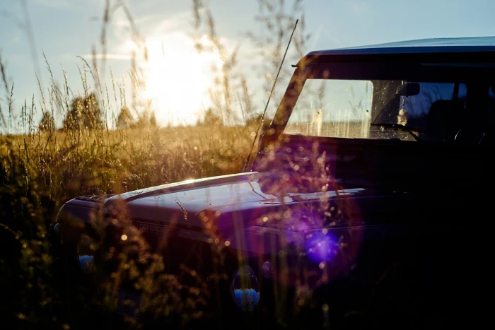 photography nature sunlight car ground lights plants 2k