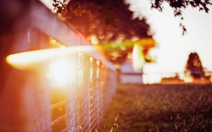 sunlight depth of field bokeh fence nature 2k