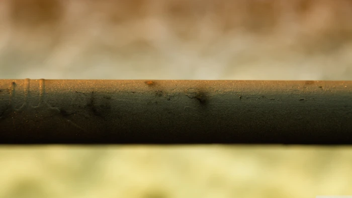 untitled closeup bokeh no people close up selective focus 2k 4k