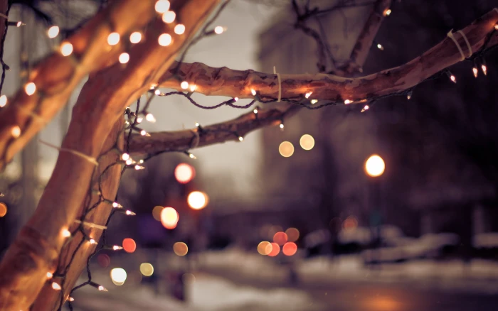 urban nature depth of field winter bokeh cityscape Christmas 2k 4k