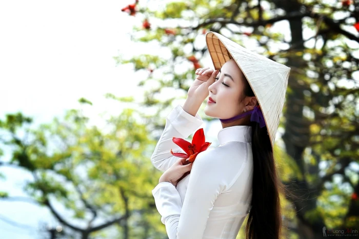 Women Asian Ao Dai Conical Hat Bokeh Flower Girl 2k