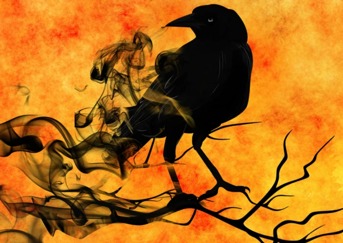 black bird poster raven crow night creepy darkness mystical 2k
