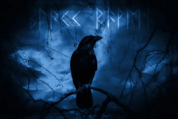 black crow illustration raven dark mystical night moonlight 2k