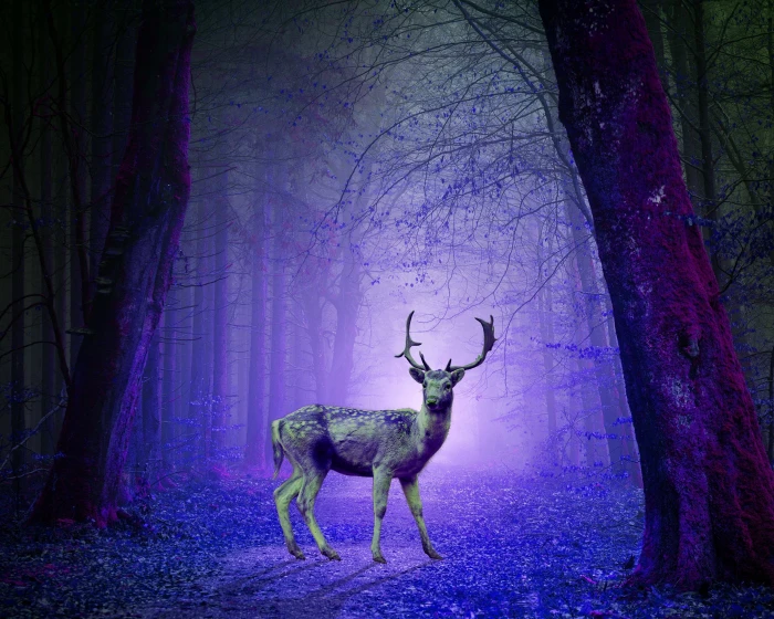 deer wallpaper forest mystical purple photoshop tree animal 2k