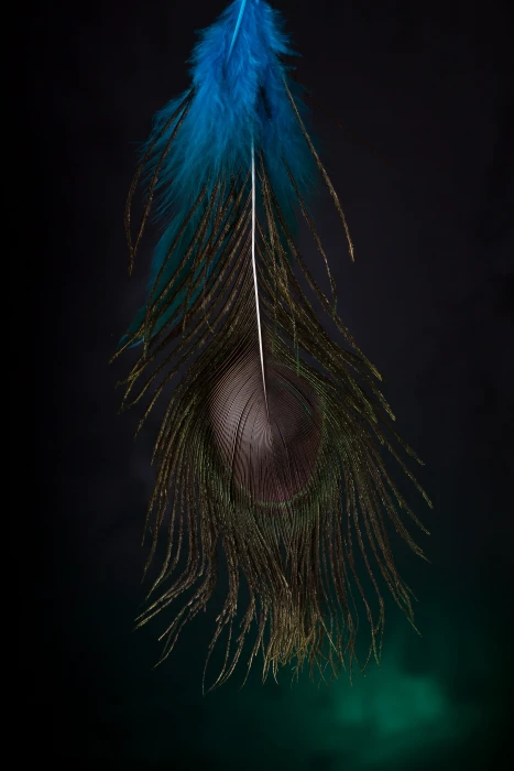 feather dark book cover surreal fantasy mystical art 2k