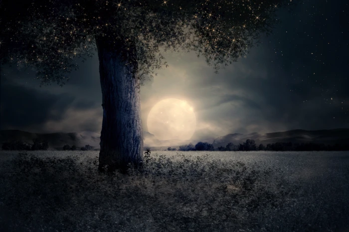 full moon over green foliage tree and field night landscape 2k 4k
