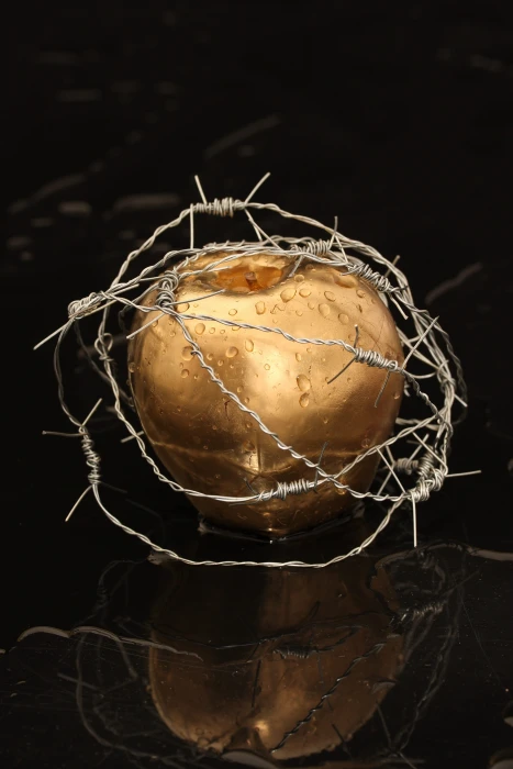 gold apple with barbed wires on black surface bondage paradise 2k