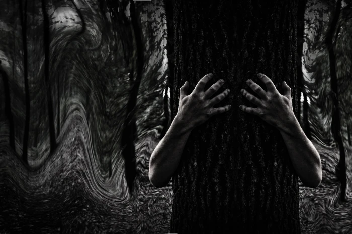grayscale photo of person s hand hugging tree trunk dark mystery 2k