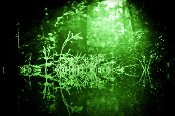 green mystical fantasy mood atmosphere mysterious fairytale 2k 4k 5k