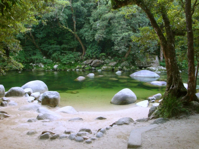 grey boulder in lake near green leaves trees river white sands 2k 4k