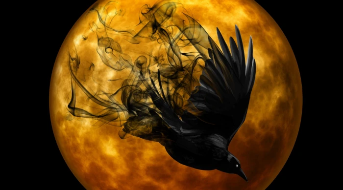 Halloween Raven Holidays Night Darkness Creepy Mystical 2k 4k